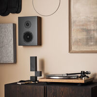 Argon Audio Forus 4 Wall (orzech). Kolumny naścienne. - 9