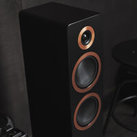 Argon Audio Forte A55 WiFi (czarny). Aktywne kolumny podłogowe. - 4