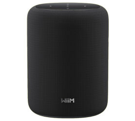 WiiM Sound Lite (czarny). Głośnik bezprzewodowy.