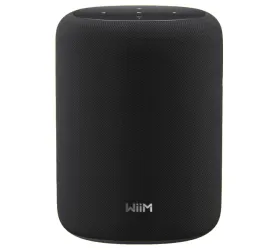 WiiM Sound Lite (czarny). Głośnik bezprzewodowy.
