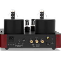 Fezz Audio Lybra Mono Power Amplifier EVO (big calm). Monofoniczna lampowa końcówka mocy. - 2