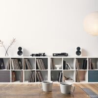 Dynaudio Emit 10 (biały). Kolumny podstawkowe. - 9