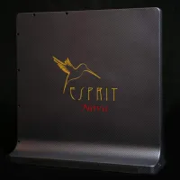 Esprit Nova. System polaryzacji pomieszczenia. - 7