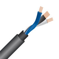 Wireworld Equinox 10 (EQI). Interkonekt audio RCA (2x1.0m) - 3