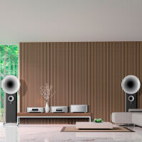 Esoteric S-05 (srebrny). Końcówka mocy stereo klasy hi-end. - 5
