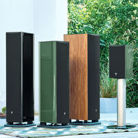 Focal Aria Evo X N°4 (zielony). Kolumny podłogowe. - 9