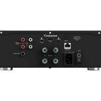 Cabasse Abyss. Wzmacniacz stereo z funkcjami sieciowymi. - 2