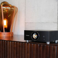 Cabasse Abyss Amp 240 S. Wzmacniacz stereo z funkcjami sieciowymi. - 6