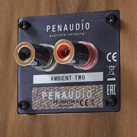 Penaudio Ambient Two (orzech). Kolumny podłogowe. - 4