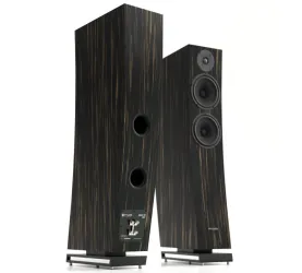 Pylon Audio Jasper 23 (heban marokański). Kolumny podłogowe.