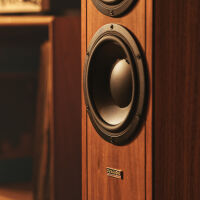 Dynaudio Contour Legacy. Kolumny podłogowe. - 11
