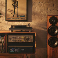 Dynaudio Contour Legacy. Kolumny podłogowe. - 9