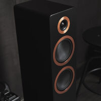 Argon Audio Forte A55 MK2 (czarny). Aktywne kolumny podłogowe. - 5