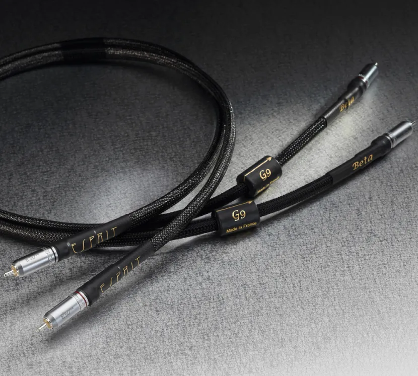 Esprit Beta. Interkonekt audio 2xRCA (0,6m).