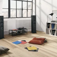 Dynaudio Emit 50 (orzech). Kolumny podłogowe. - 6