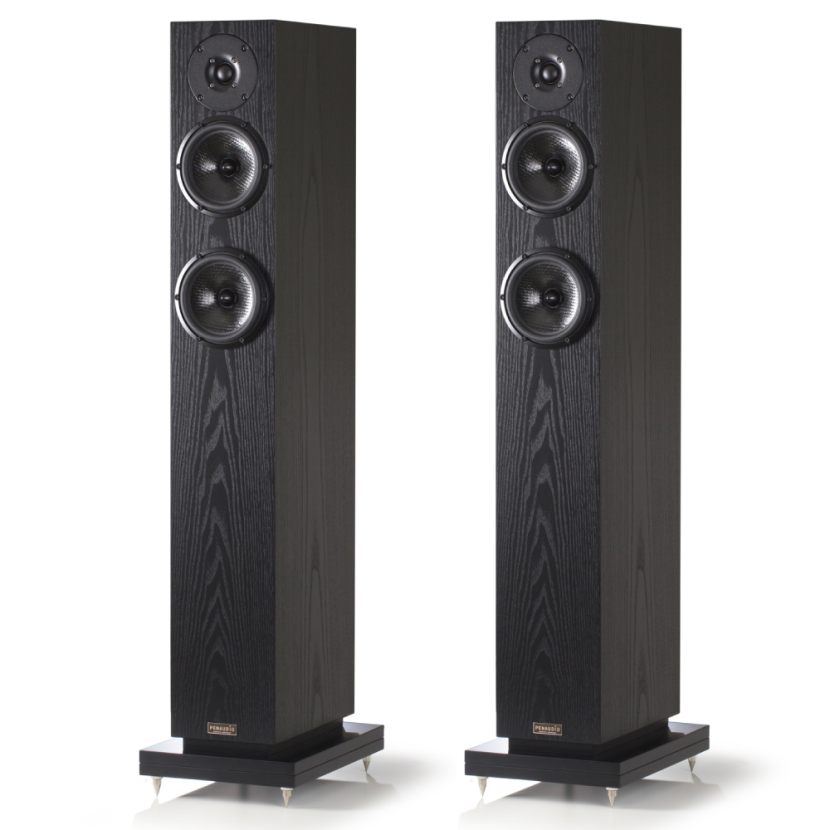 Penaudio Snow Talvi (czarny). Kolumna podłogowa.