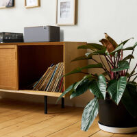 Klipsch The Three Plus (orzech). Stacjonarny głośnik Bluetooth. - 9